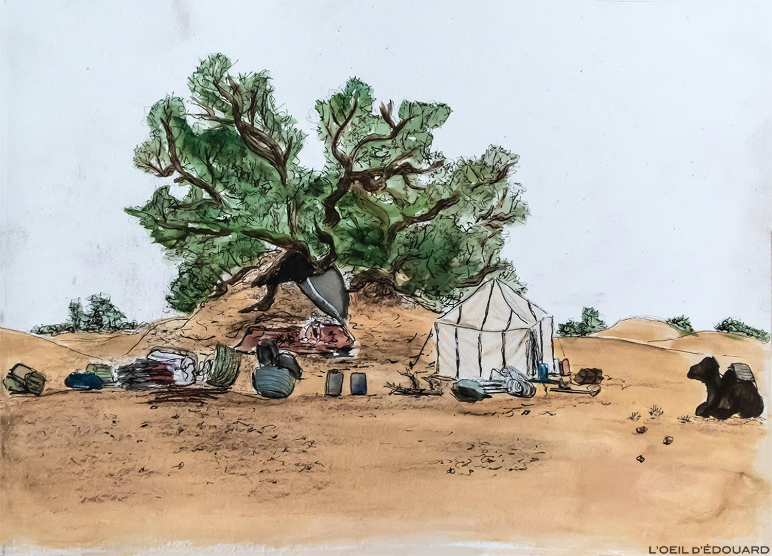 Bivouac à l\'ombre des tamaris dans le désert du Maroc - Dessin et aquarelle © L\'Oeil d\'Édouard - Tous droits réservés